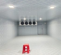 食品储存冷冻库